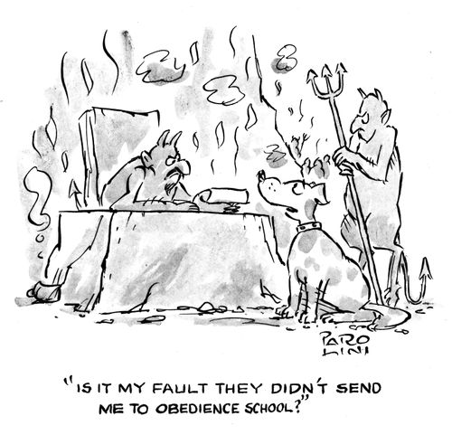 'Is it my fault they didn't send me to obedience school?'