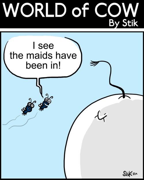 'I see the Maids have been in!'
