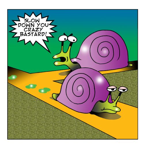 Slow Down, You Crazy Ba***rd!