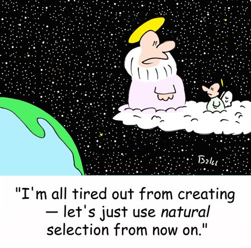 'I'm all tired out from creating - let's just use NATURAL selection from now on.'