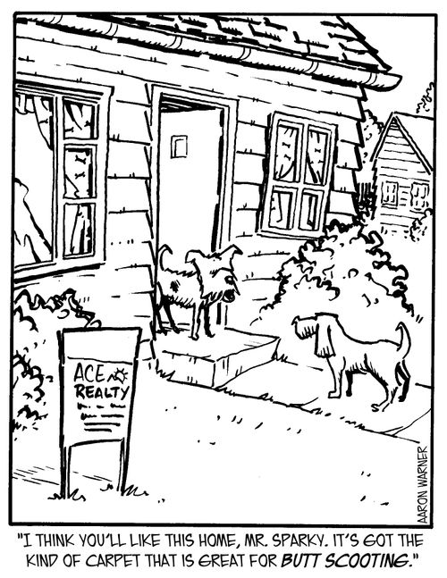 'I think you'll like this home, Mr. Sparky. It's got the kind of carpet that is great for butt scooting.'