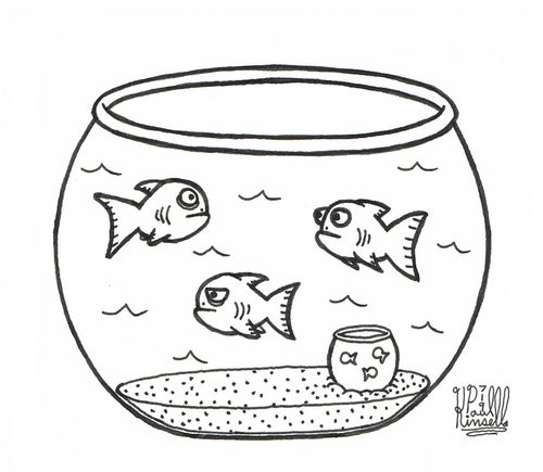 Fish in fish bowl have pet fish in a smaller bowl (get it?)
