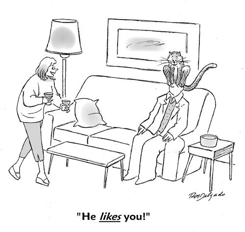 'He likes you!'