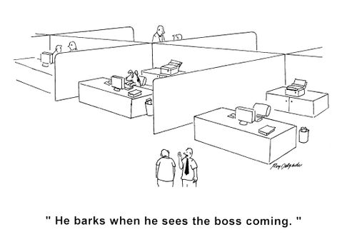 'He barks when he sees the boss coming.'