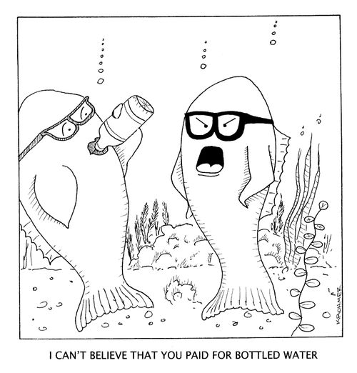 "I can't believe you paid for bottled water."