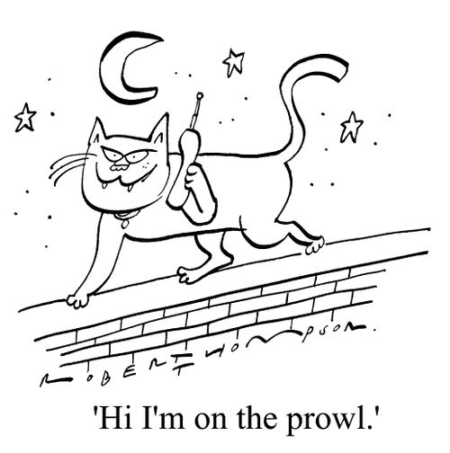 "Hi, I'm on the the prowl"