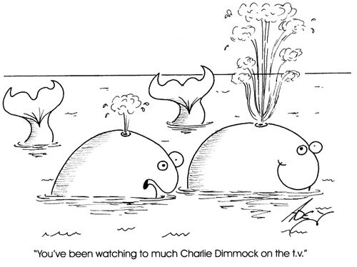 "You've been watching too much Charlie Dimmock on the tv,"