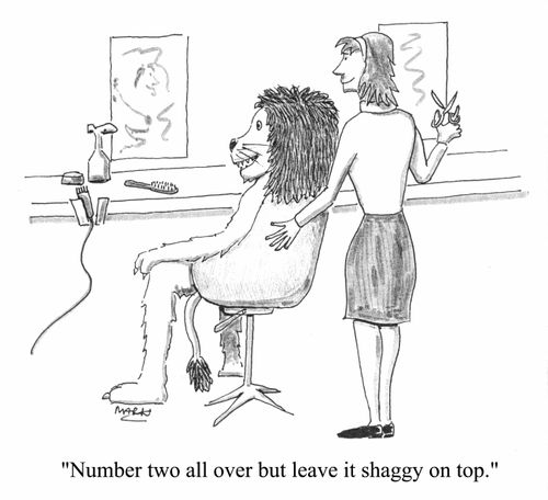 "Number two all over but leave it shaggy on top"