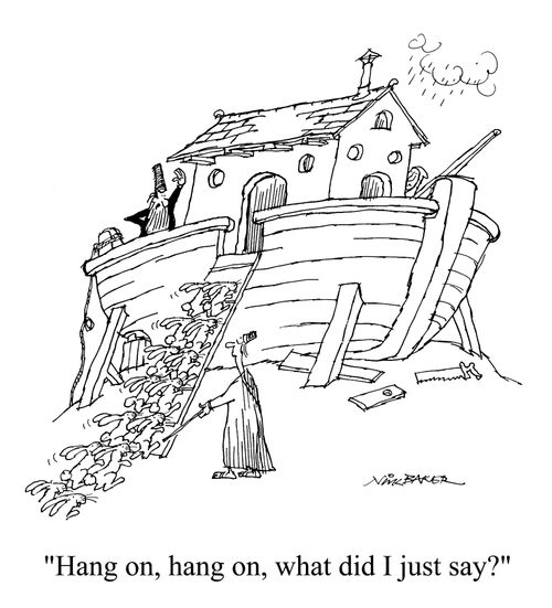 Lots of rabbits trying to get onto arc - "Hang on, hang on, what did I just say."