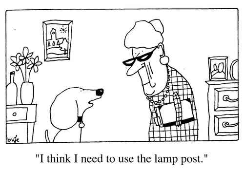 "I think I need to use the lamp post."