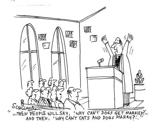 '..Then people will say, 'Why can't dogs get married?'.. And then, 'Why can't cats and dogs marry?'..' 