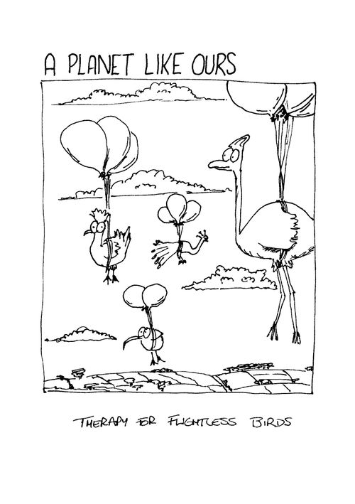 flightless bird therapy.