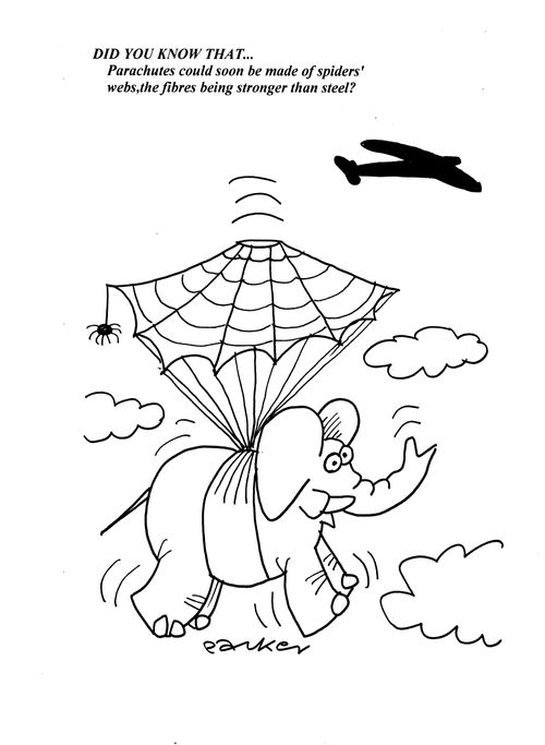Did You Know That...Parachutes could soon be made of spiders' webs, the fibres being stronger than steel?