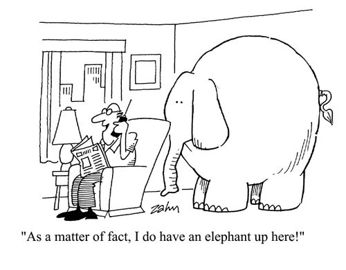 'As a matter of fact, I do have an elephant up here!'