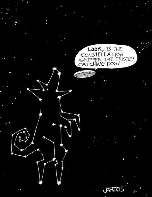 'Look, it's the constellation 'Skipper the frisbee catching dog'!'
