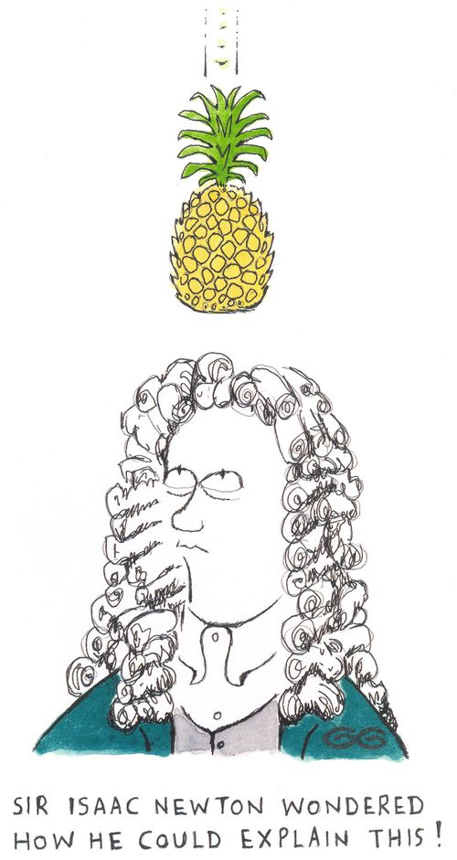 Sir Isaac Newton wondered how he couldexplain this! (Pineapple)