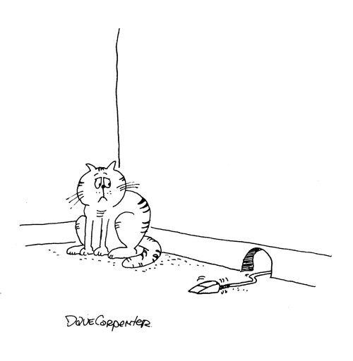 Cat looking rather disturbed by computer mouse coming out of hole.