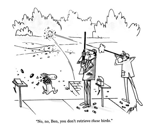 'No, no, Ben, you don't retrieve these birds!'