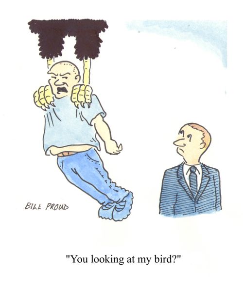 'You looking at my bird?'