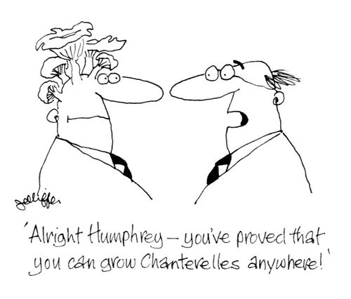 'Alright Humphrey - you've proved that you can grow Chanterelles anywhere!'