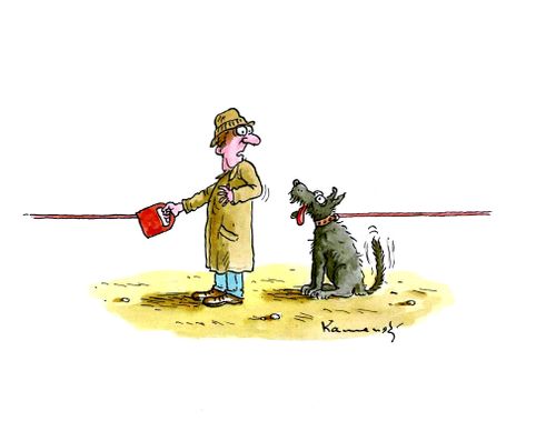 Walking the dog - 'surprise'!