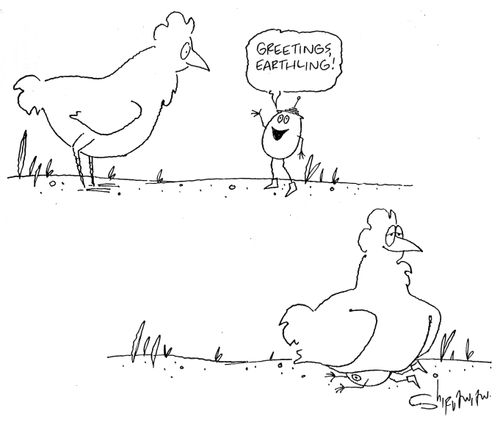 Hen meets alien egg