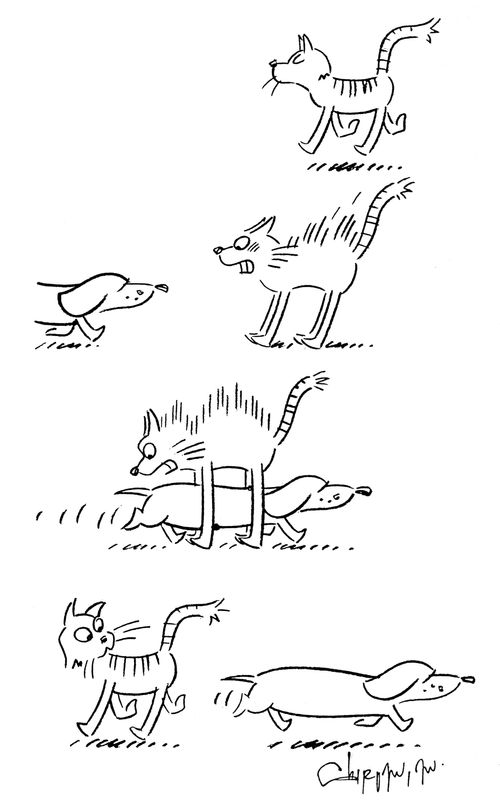 Dog ignores angry cat.