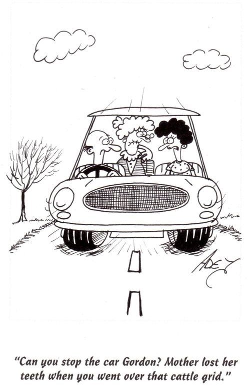 'Can you stop the car Gordon? Mother lost her teeth when you went over that cattle grid.'
