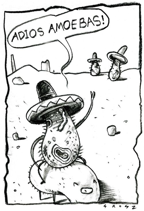 Adios Amoebas