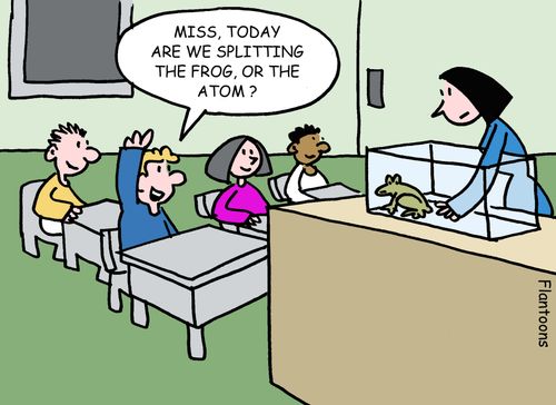 "Miss, today are we splitting the frog, or the atom?"