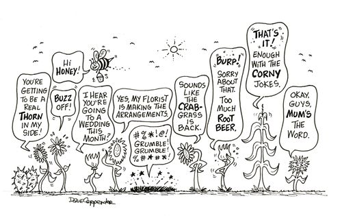 Plants and Flowers Crack Jokes.
