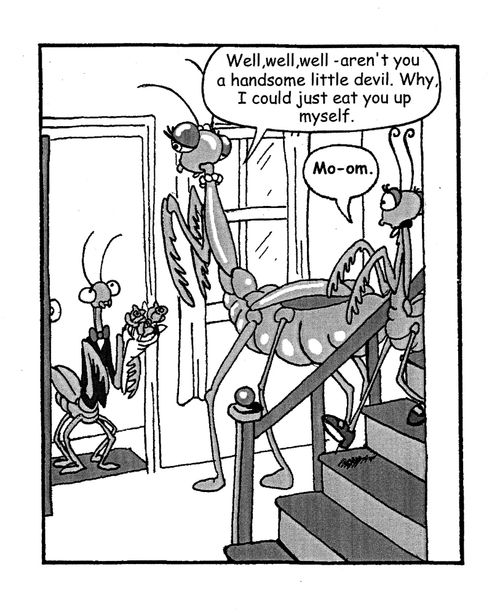 'Well, well, well - aren't you a handsome little devil. Why, I could just eat you up myself.'