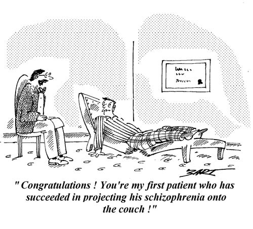 "Congratulations! You're my first patient who has succeeded in projecting hs schizophrenia onto the couch!"