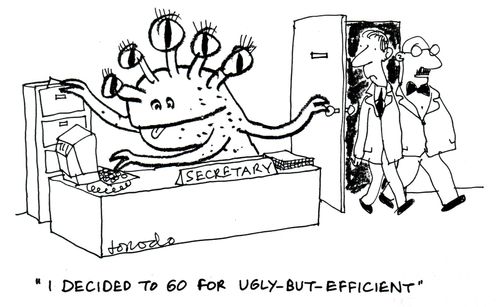 'I decided to go for ugly-but-efficient.'