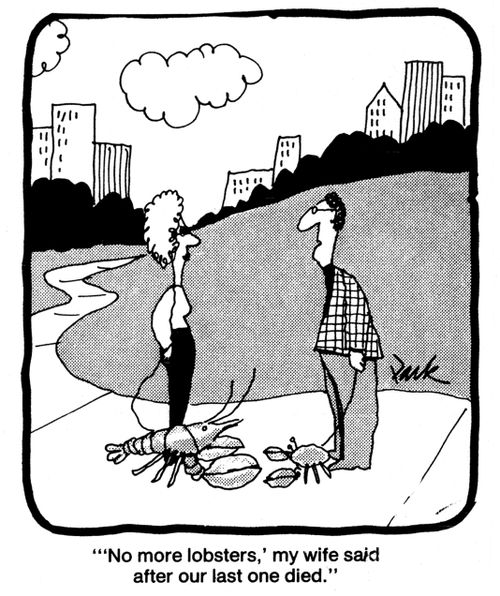 'No more lobsters, my wife said, after our last one died.'
