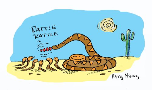 Rattlesnake with babies.