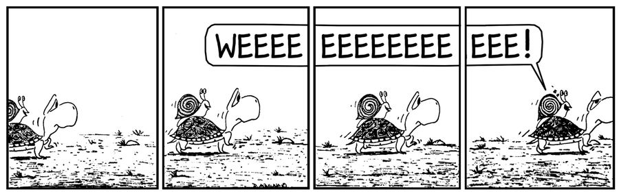 Weeeeeeeee - snail on turtle.