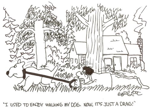 'I used to enjoy walking my dog, now it's a drag!'