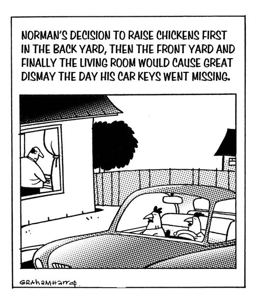 Norman's decision to raise chickens first in the back yard, then the front yard and eventually the living room would cause great dismay the day his car keys went missing.
