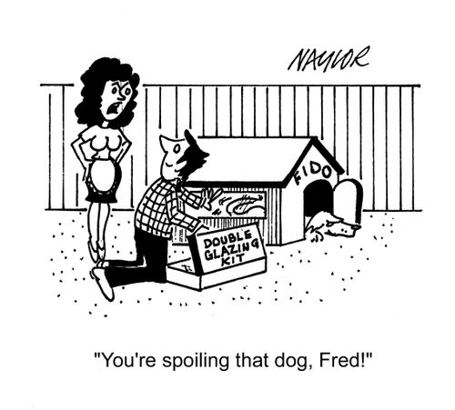 'You're spoiling that dog!'