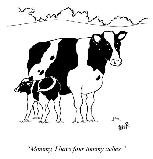 'Mommy, I have four tummy aches.'