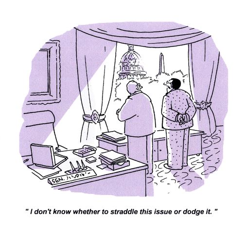 'I don't know whether to straddle this issue or dodge it.'