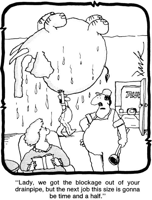 'Lady, we got the blockage out of your drainpipe, but the next job this size is gonna be time and a half.'