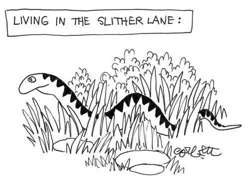 Living in the slither lane:  snake.