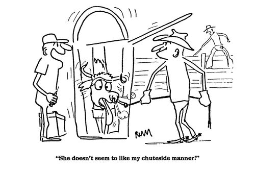 'She doesn't seem to like my chuteside manner!'