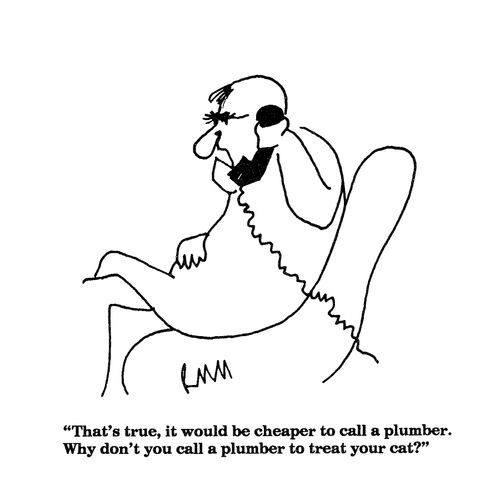 'That's true, it would be cheaper to call a plumber....