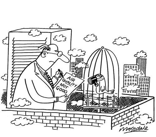 Scientist taking air quality reading on roof with canary wearing gas mask.