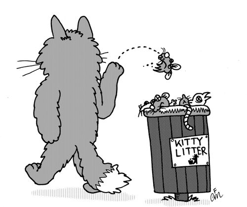Cat using the 'Kitty Litter'.