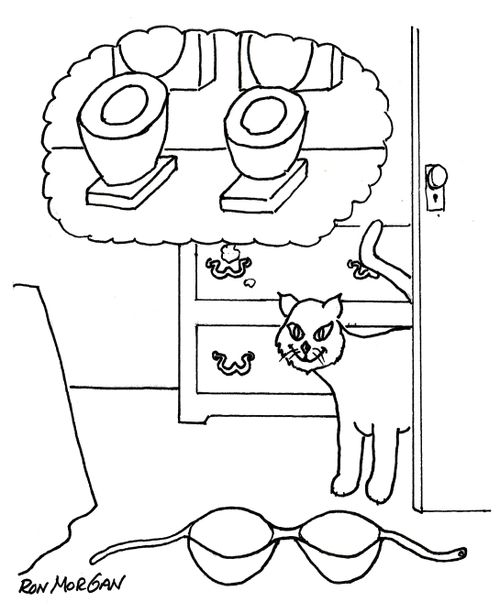 Cat mistakes bars for toilets.
