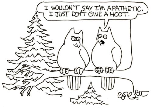 'I wouldn't say I'm apathetic, I just don't give a hoot.'